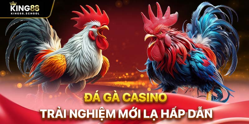 Đá gà casino trải nghiệm mới lạ hấp dẫn